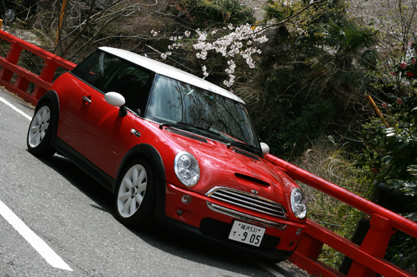 405 mini2 IMG_5576.jpg